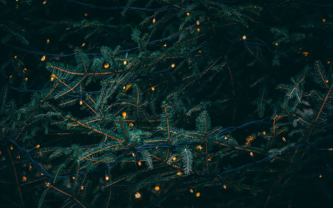 Önskan om julgran i Laisvall