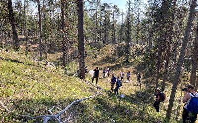 Entomologer från hela Sverige i Arjeplog